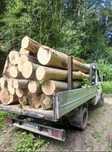 Lemn de foc Fag !! Tot judetul !!! Cele mai bune preturi !!