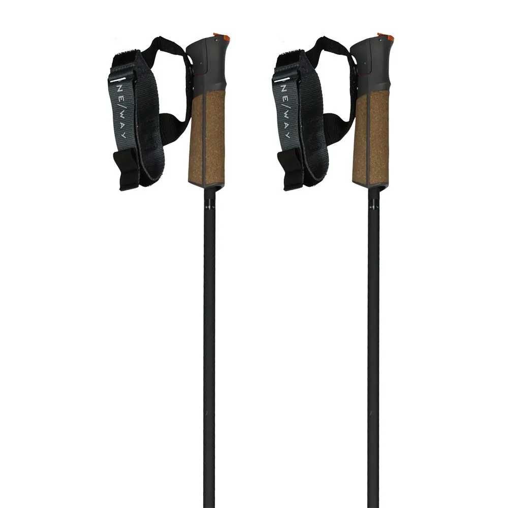 Щеки Fischer GT 11 Carbon Mag и Fischer RD 13 Carbon