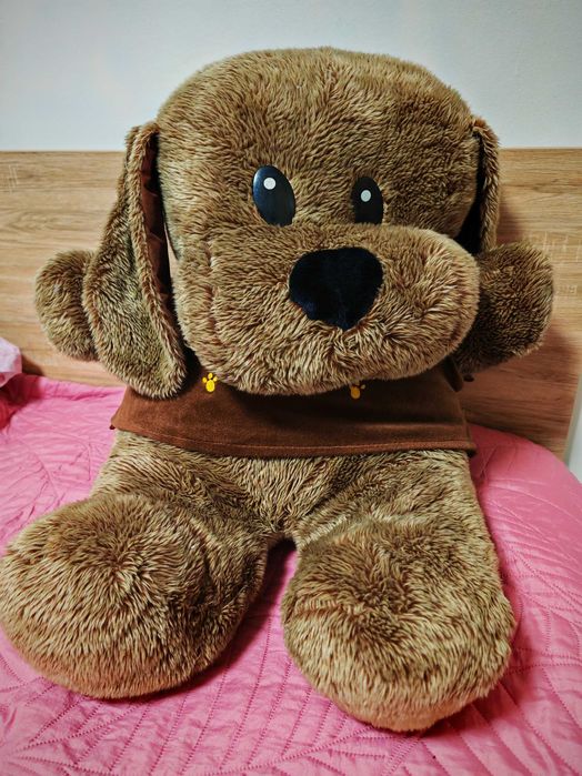 Catel foarte mare de plus