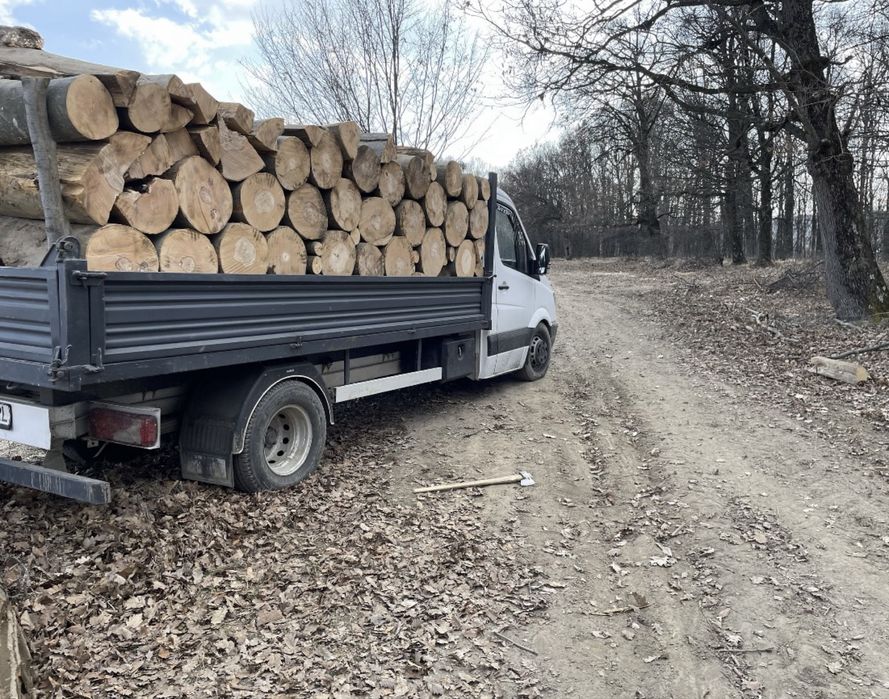 Lemne de foc Verzi/Uscate esențe tarii
