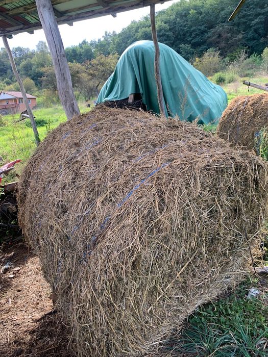 Vând baloți  120/120