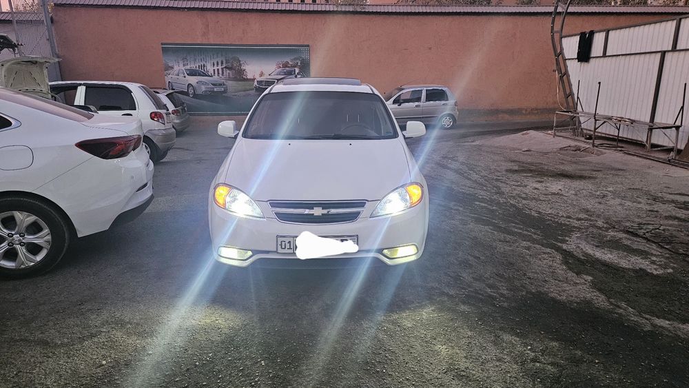 Arenda Jentra Elgant puls  2022