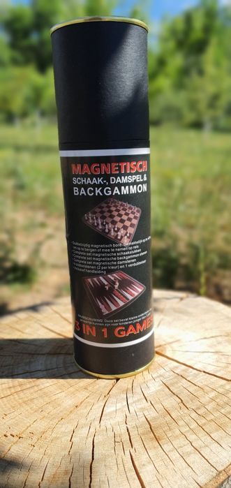 Joc portabil magnetic