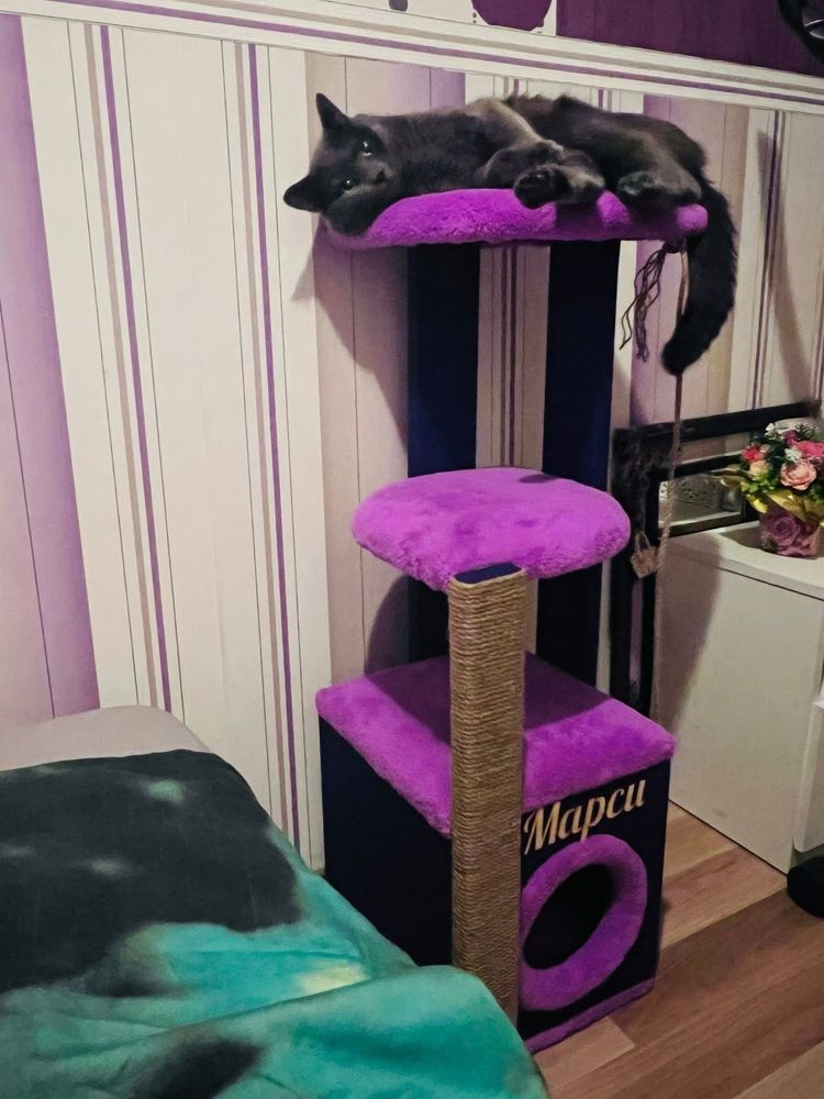 Катерушка за котка