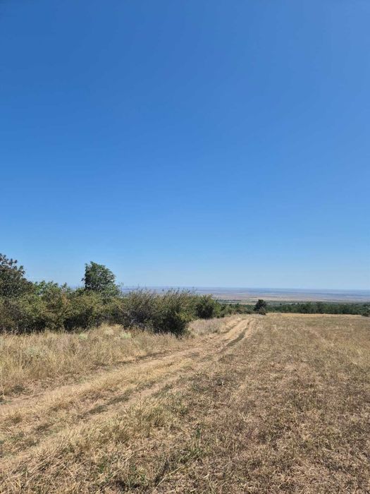 Vand teren extravilan 3 ha Livada Mare, Comuna Grebanu, jud Buzau