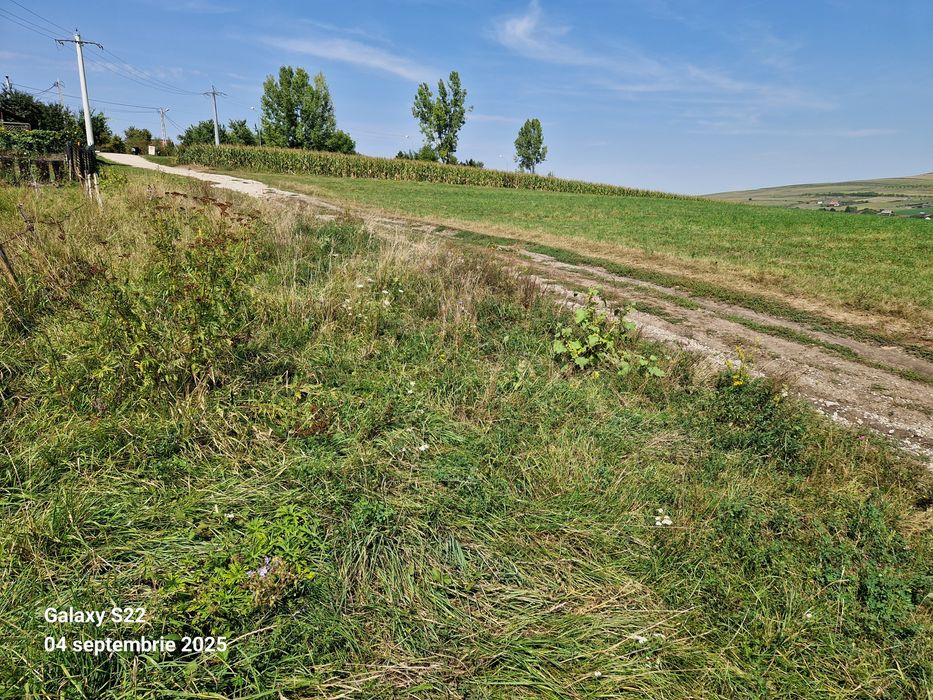 Teren intravilan 1290 mp, Comșești, jud. Cluj