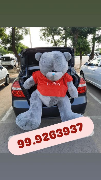 Teddi 3-metrlik Xitoy original