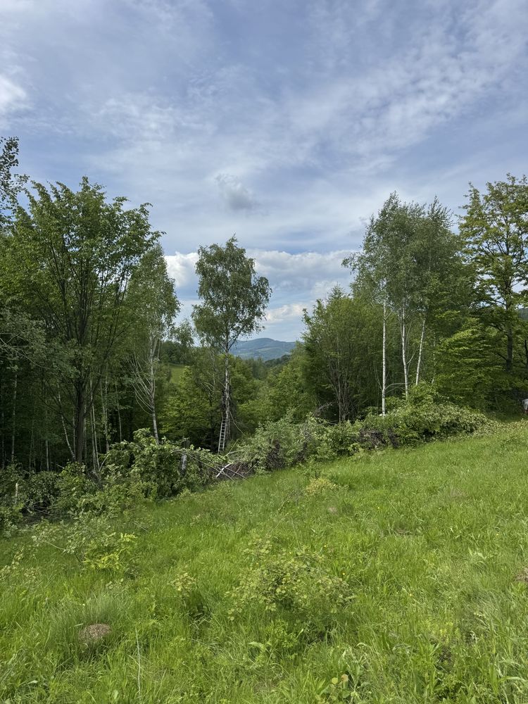 Vand teren la munte intravilan comuna Bulz sat Munteni cabana