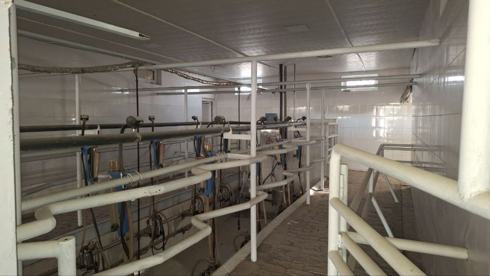 Майскида 7 гектарли ферма сотилади