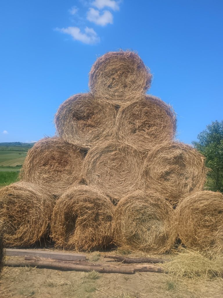 Baloți de lucernă