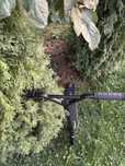 Vand trotineta freestyle