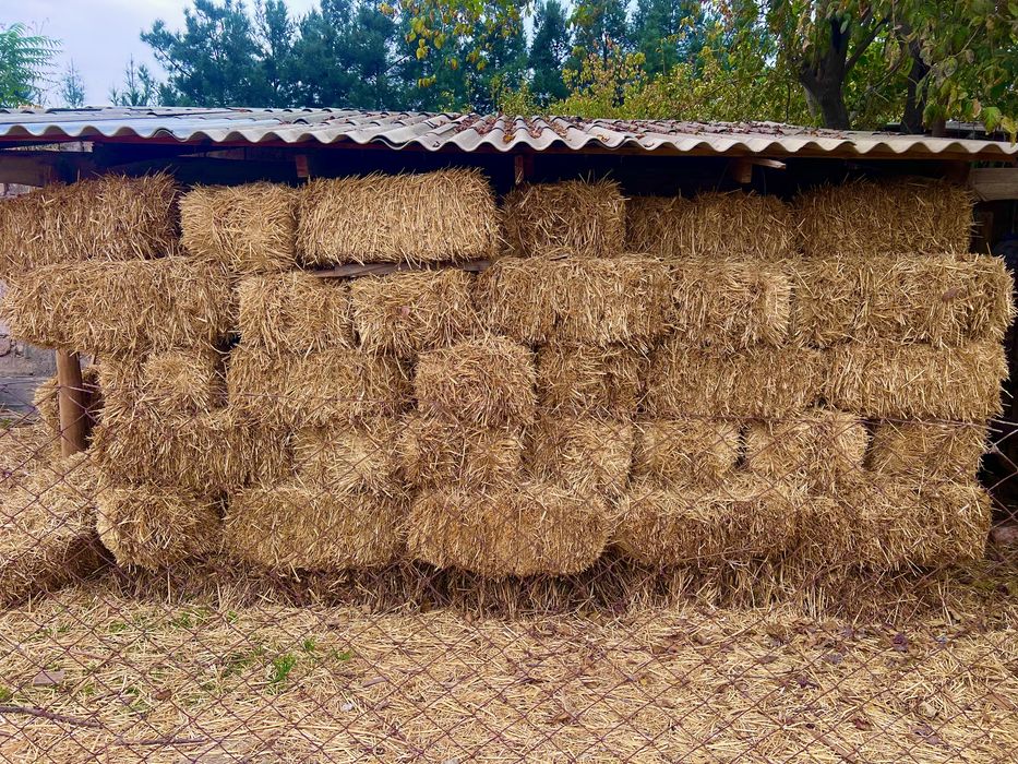 СОМОН ПРЕС somon pres kelishtrib beramiz