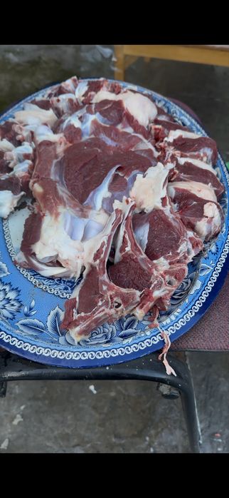 Qoylarimiani narhi 140000 min somdan