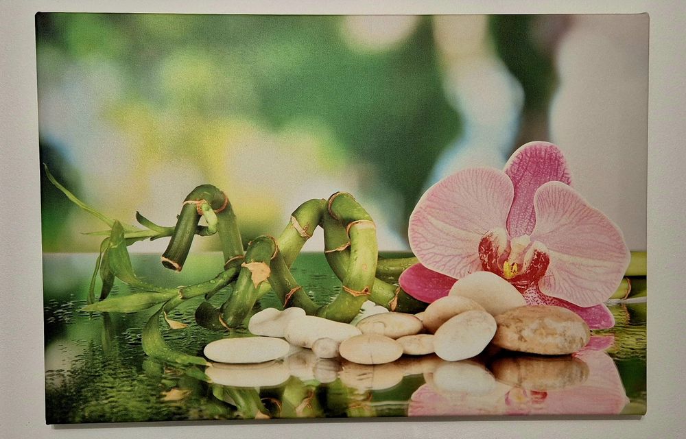 Vand tablouri canvas 60x40cm