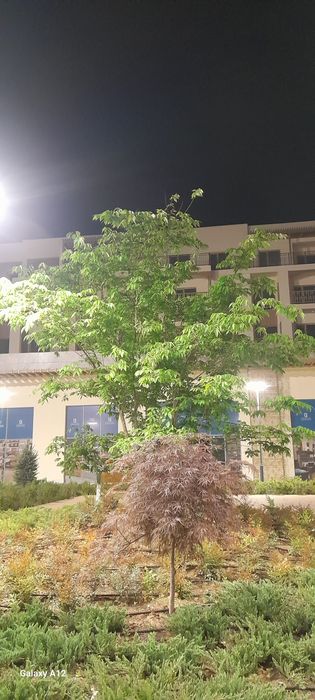 Santexnika palif xizmati