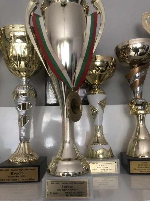 FK/ Vortex OKj картинг