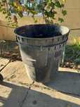 Butoi Bidon Lada Compost 300 l