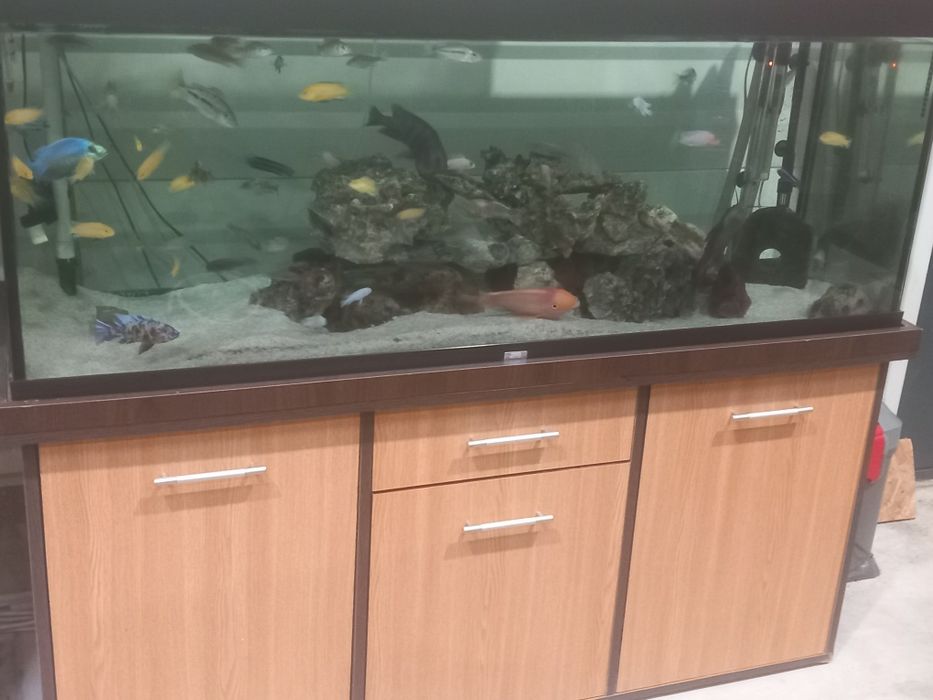 Vand acvariu 450 l complet .