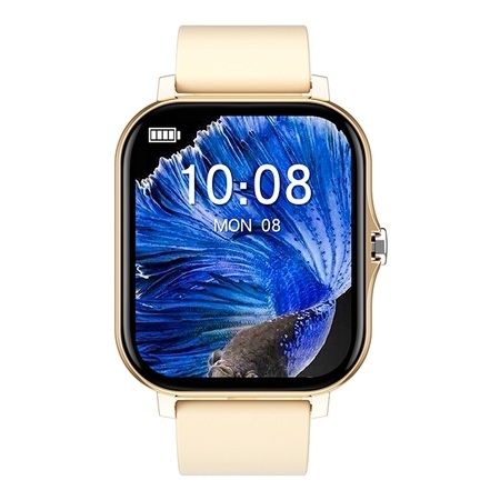 Smartwatch Allview Connect S, Auriu, Livrare gratuita