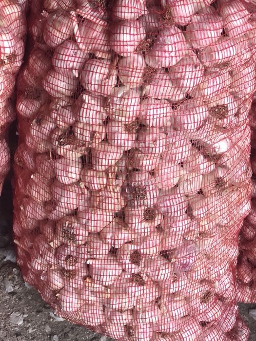 Usturoi pentru mezeluri si murat