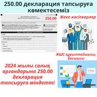 250.00 форма декларация толтыруға көмектесеміз