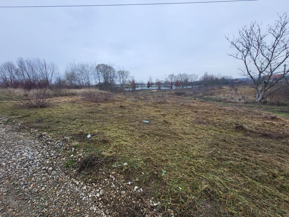 Teren intravilan Paleu