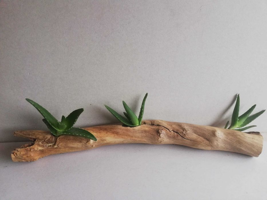 Ръчни дървени саксии