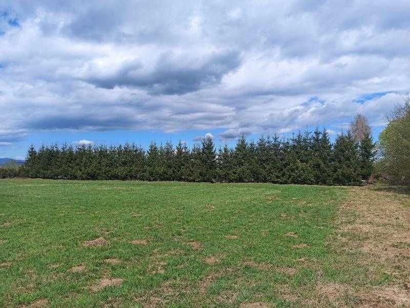 teren 700 m2 Rasnov
