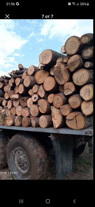 дърва за огрев метровки дъб