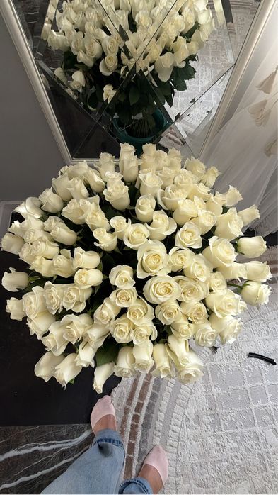 Свежый гулдер бар өте улкен гул