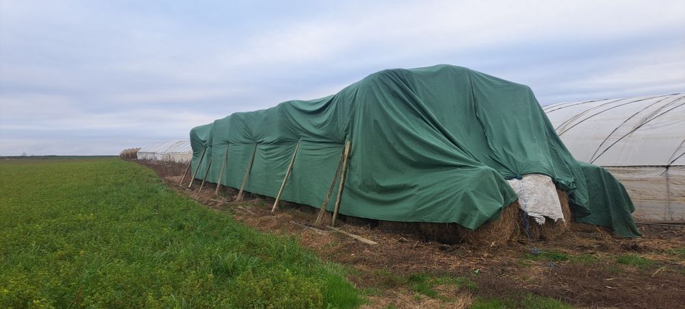 Baloti rotunzi de lucerna coasa 2 și 3