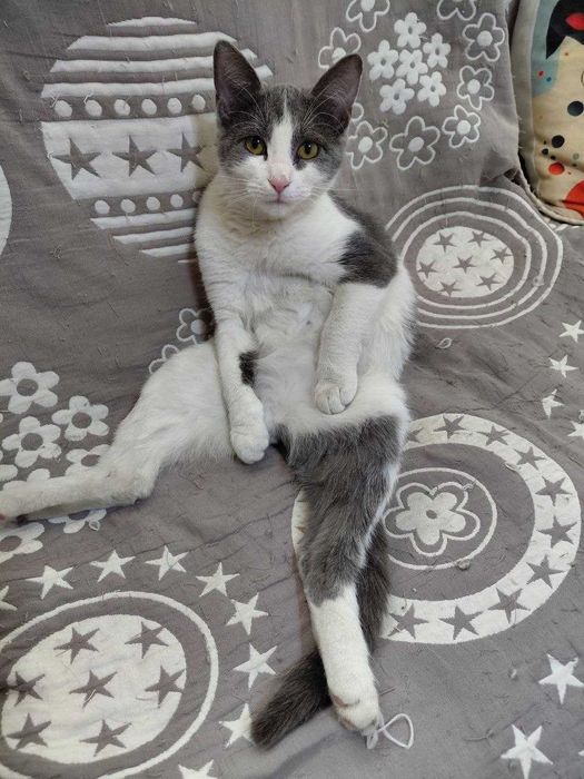 Ищем любящую семью!