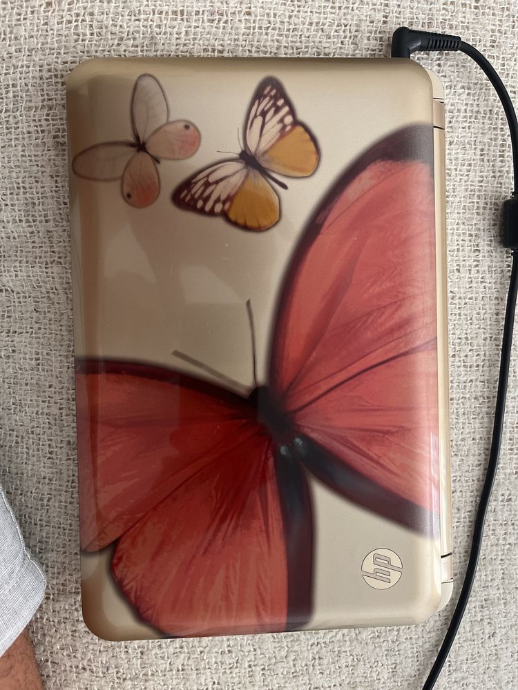 Hp       Laptop