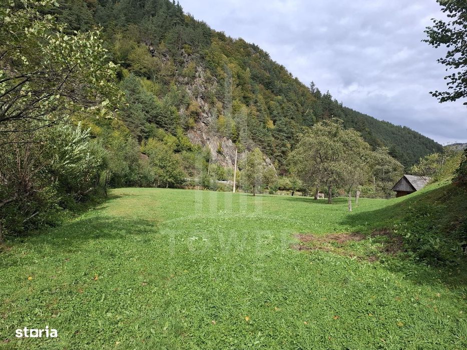 Teren Intravilan de Vânzare – 4000 mp – Râu Sadului