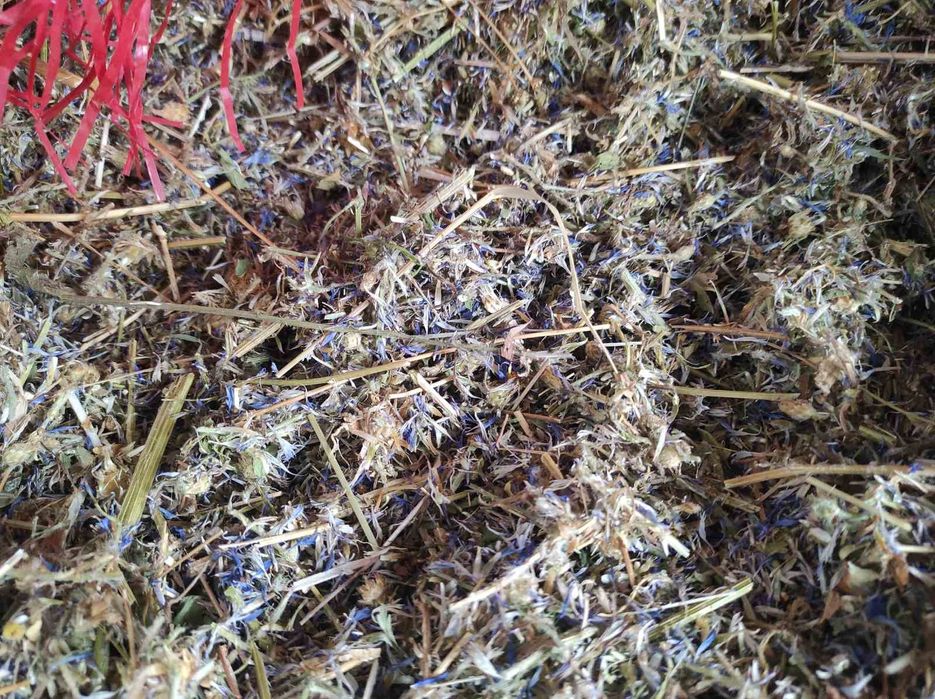 Синчец, корен валериана, стрък вратига,синя метличина,лавандулов цвят