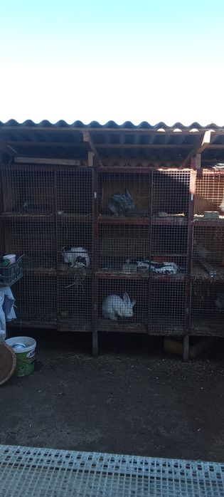 De vânzare cușcă de iepuri cu 12 boxe