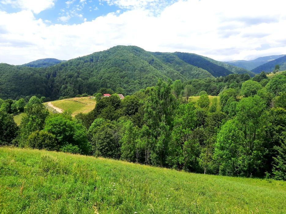 Izbucul  Cernei,Gorj