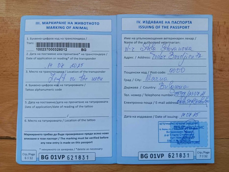 подарявам куче на име рекси