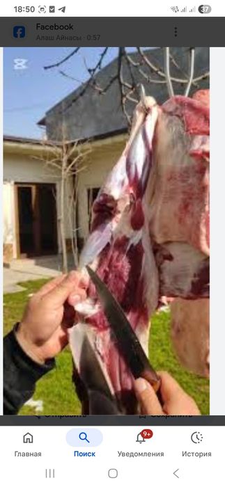 Мясник, Қасапшы, малдың барлық түрін соямын. Жіліктеп, бөлікке бөлемін