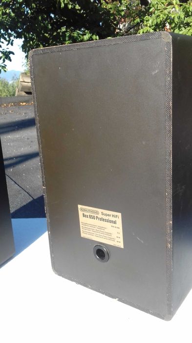 Boxe model Grundig Super Hi-Fi Box 650 Professional