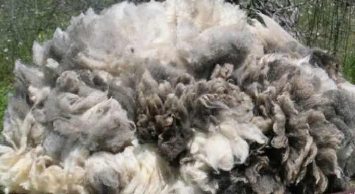 шерсть  для утепления крыши