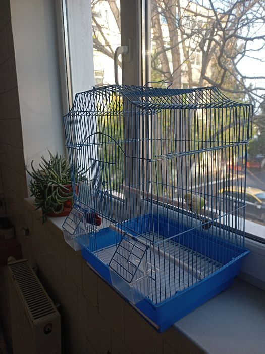 Colivie  păsări mici