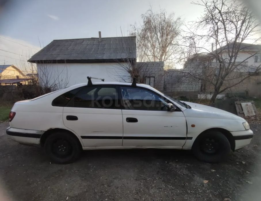 Карина Е на ходу