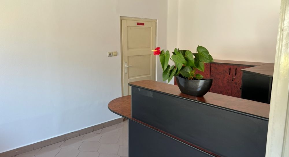 Apartament in curte Arad ultracentral