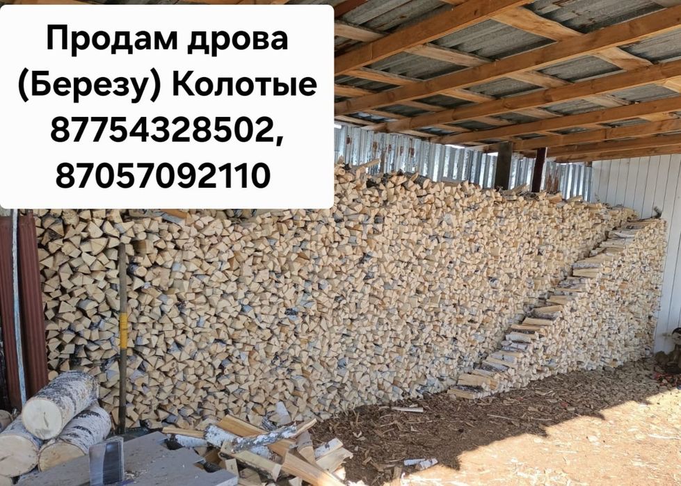 Продам дрова березовые