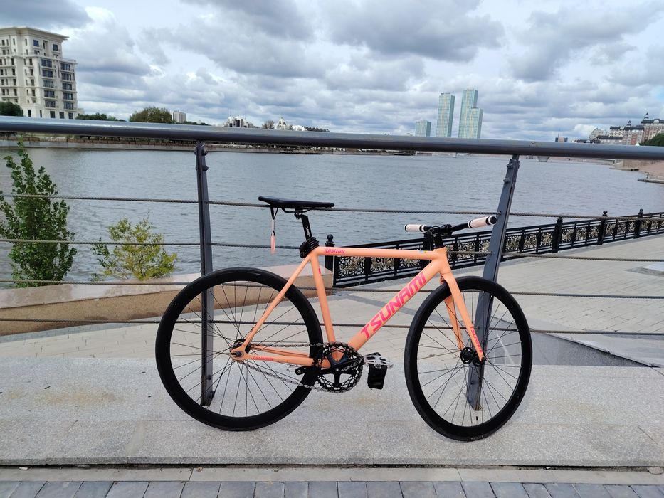 Тсунами снм 100.