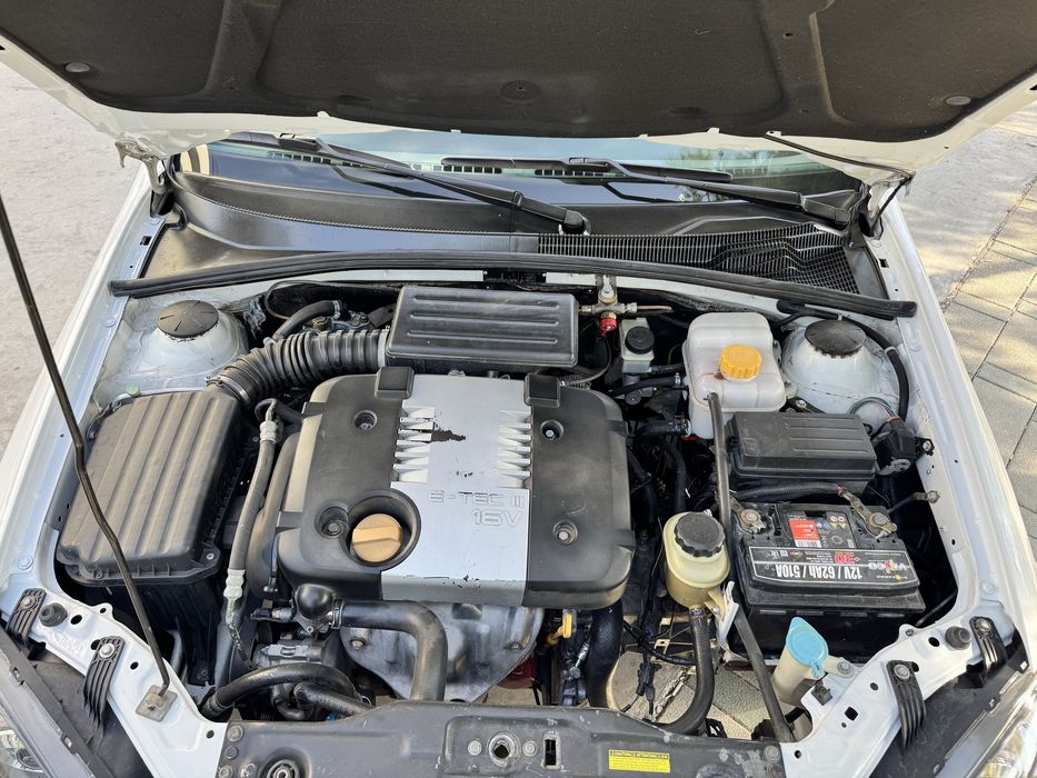 Лассети 2009 йил метанда