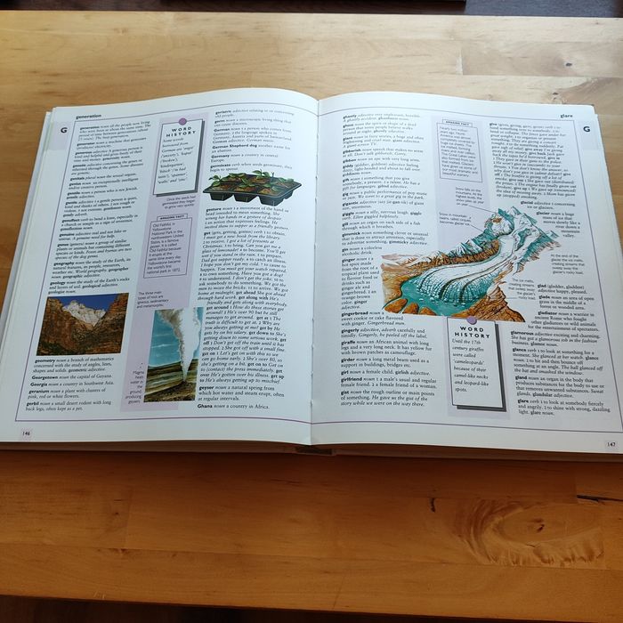 Dicționar ilustrat Engleza