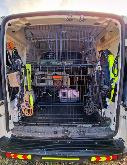 Animale de companie - TRANSPORT