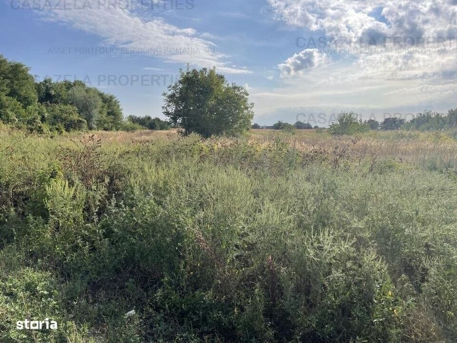 Teren 5.078 mp km 30 Bucuresti-Pitesti- 26.500 eur